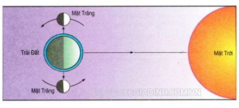 Dao động Thủy Triều Lớn Nhất Khi Nào Và Nhỏ Nhất Khi Nào