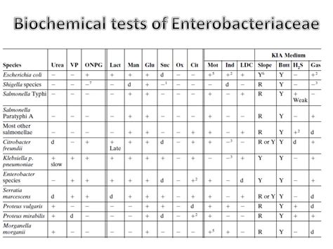 Enterobacteriaceae Identification Chart