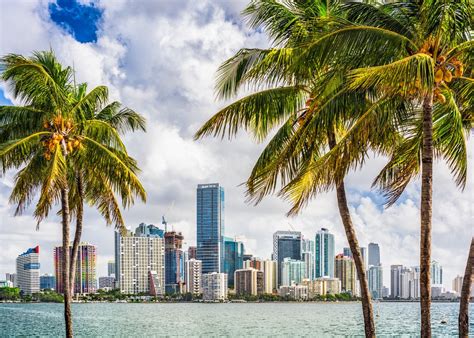 Miami Employment Background Check Guide For 2024 Iprospectcheck