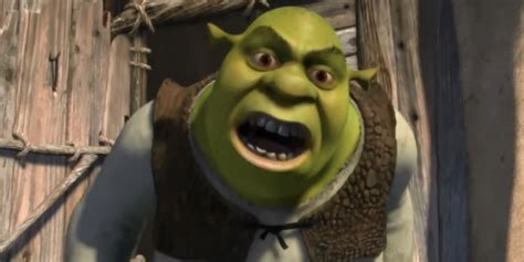 Shrek Memes A Guide To The Internets Most Memed Character