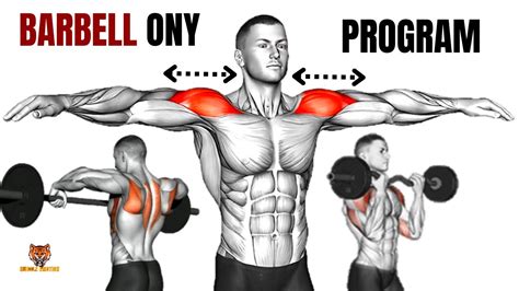 5 Best Shoulder Workout With Barbell At Home Or At Gym Meilleurs Exercices Musculation épaules