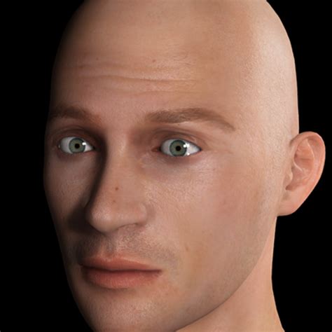 Male Head 3d Model