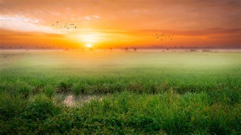 Sunrise Wallpaper 4k Paddy Fields Landscape