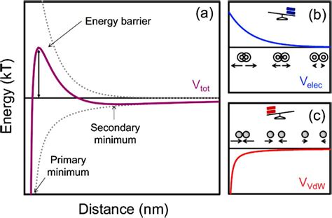 Schematic Dlvo Interaction Energy Diagram A Composed Of Electrostatic