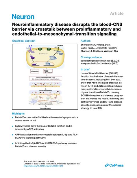 Pdf Neuroinflammatory Disease Disrupts The Blood Cns Barrier Via