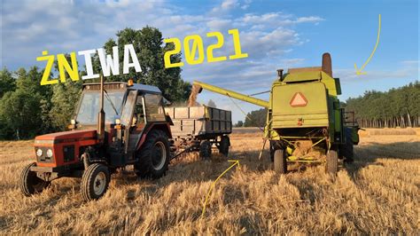 Żniwa 2021 Owies Akcja na całego Claas Mercator 70 Zetor