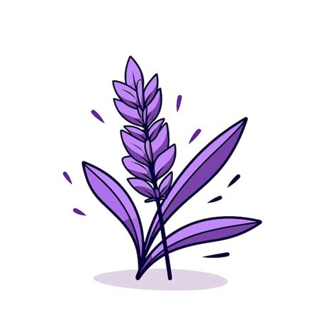 Une Plante Violette Avec Des Feuilles Violettes Et Un Fond Blanc