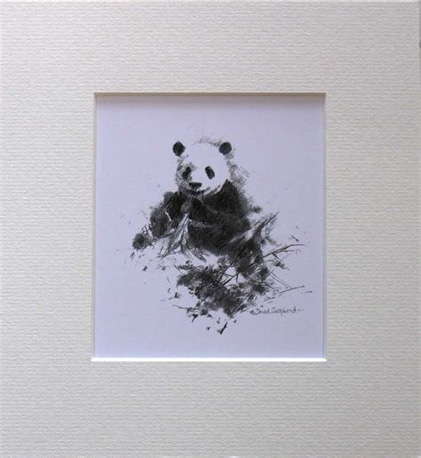 Wildlife Sketch Panda David Shepherd Wildlife Foundation