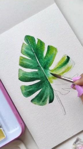 Draw And Paint A Watercolour Monstera Leaf Youtube Tutorial [video] Tropical Painting