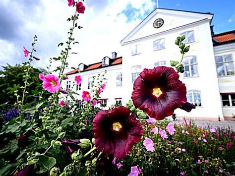 The 11 best Castle Hotels near Nyköping. Complete Guide 2024