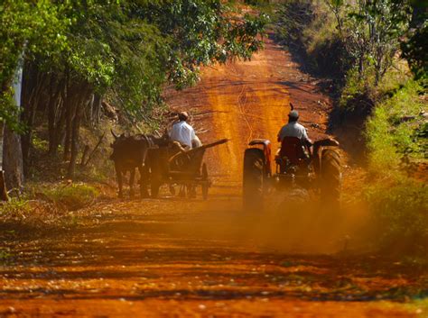 Leandro Alem Misiones Campings Alojamientos Turismo Hoteles