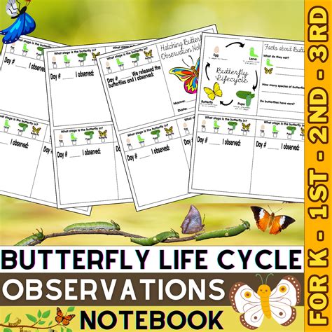 Butterfly Life Cycle Observations Journal & Activities | Spring Insects