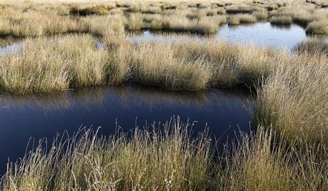 How And Where To Take Great Pine Barrens Photography-Guide And Gallery