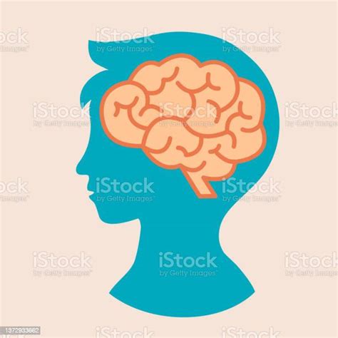 Child Brain Concept Vector Illustration Silhouette Of Kids Head With