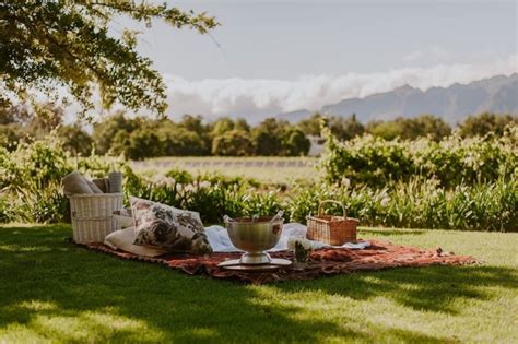 Wine Tasting At Vrede En Lust Wine Estate Franschhoek