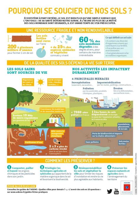 Quelles Sont Les Causes De La Diminution De La Biodiversit L