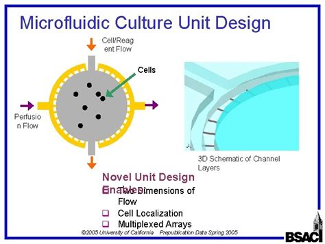 Microfluidic Cell Culture Array Philip Lee Paul Hung