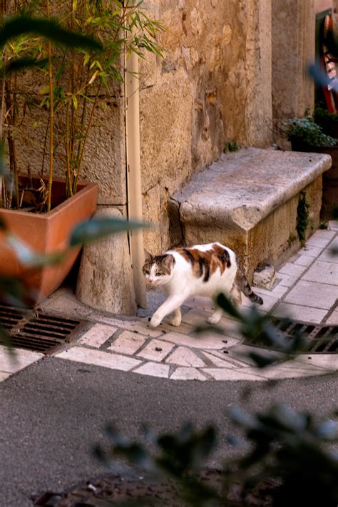 Valbonne Village In France Hidden Gem Of Cote Dazur