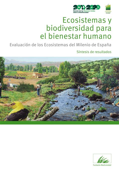 Ecosistemas Y Bienestar Humano S Ntesis De Biodiversidad Hot Sex Picture