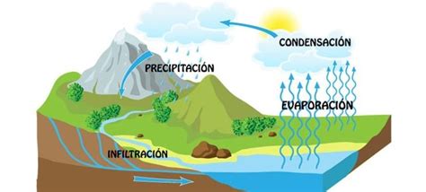 Ciclos Biogeoquimicos On Emaze