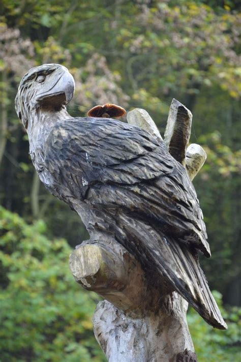 Free Images Wing Eagle Castle Fauna Bird Of Prey Sculpture Art