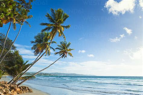 Scenic View Of Seascape On Trinidad And Tobago Stock Photo