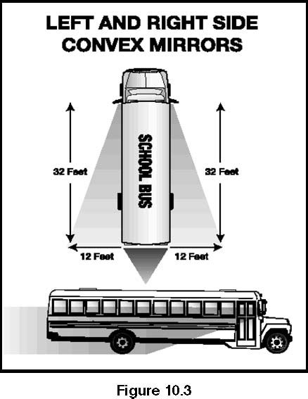 School Bus Dimensions