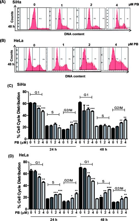 Plumbagin Induces Ros Mediated Apoptosis And Cell Cycle Arrest And