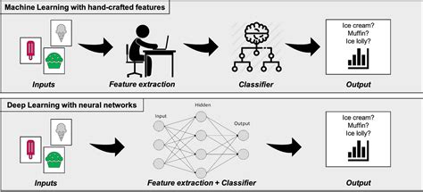 Image Classification Of Bird Species Using Deep Learning With Pytorch