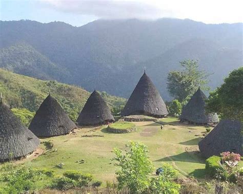 4 Rumah Adat Ntt Nusa Tenggara Timur Gambar Dan Penjelasan