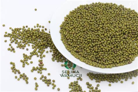 Ethiopia Mung Beans Exporter And Supplier Good Prices