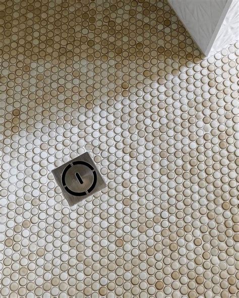 Earthy Colored Penny Tile For Bathroom Floors