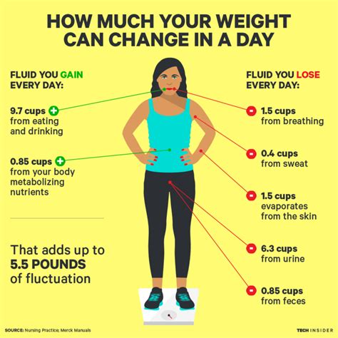 Understanding Weight Fluctuations Tokkyo Nutrition