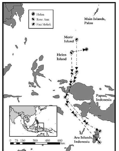 Migratory Routes Of Three Post Nesting Green Turtles Two Of Which Were