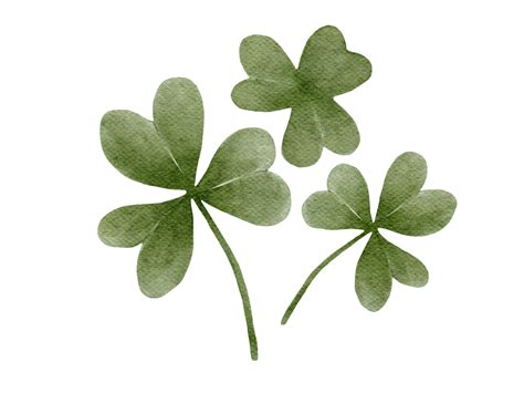 Leaf Clovers Watercolor Illustration 13166166 Png