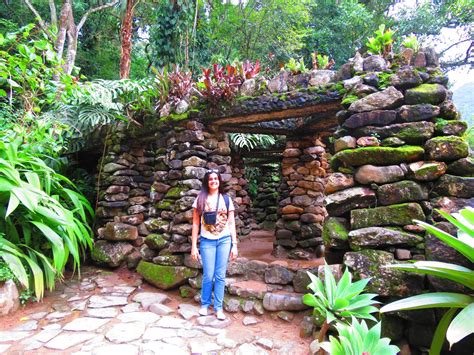 Natureza Viva Instituto De Pesquisa Jardim Nico Do Rio De Janeiro