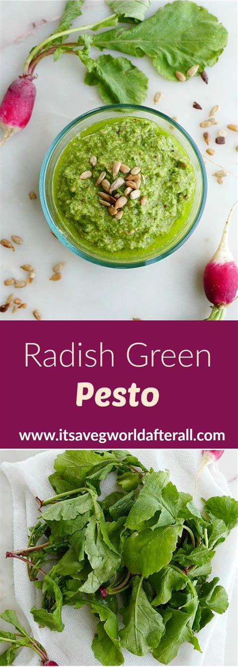 Radish Top Pesto Recipe Radish Recipes Green Pesto Radish Greens