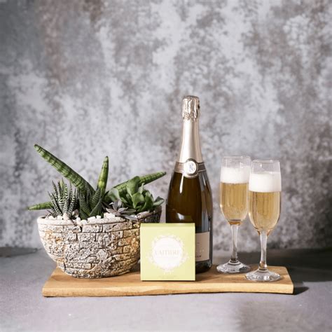 Succulent Sparkling Wine Gift Basket Monthly Sommelier USA Delivery