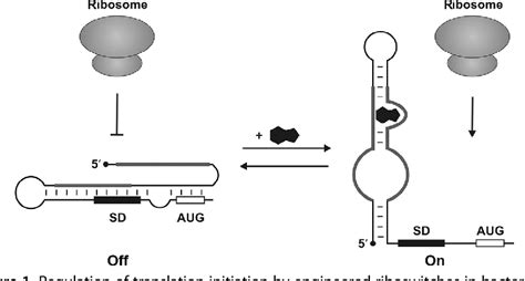 Figure 1 From Conditional Control Of Gene Expression By Synthetic