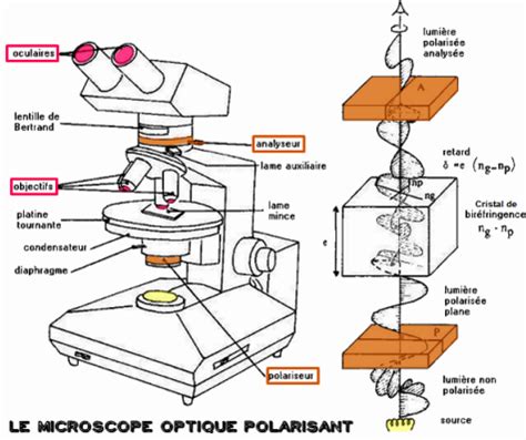 Le Microscope Polarisant Laboroches