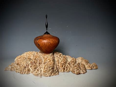 Mesquite Burl Wood Hollow Form Vessel Vase Etsy