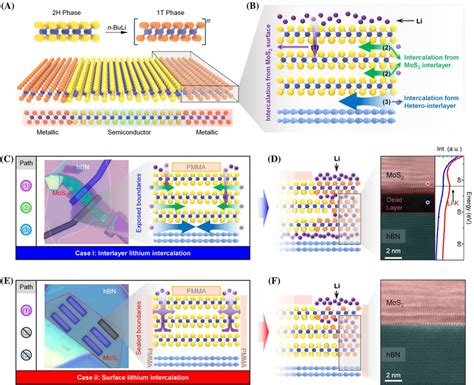 Tailoring The Lithium Intercalation Pathway In Mos Hbn Flg Vdwhs A