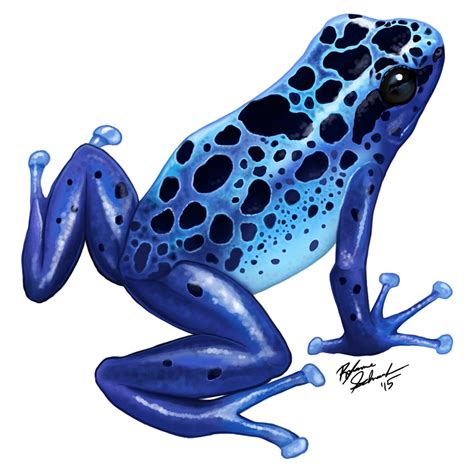 Frog PNG Images Transparent Free Download | PNGMart.com