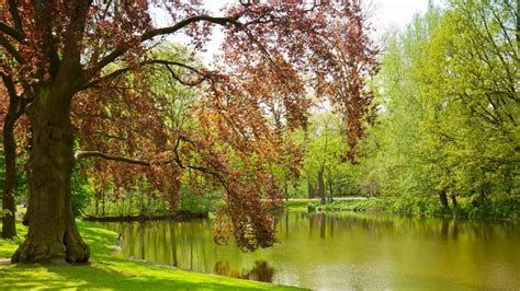 Best parks in Amsterdam: Amsterdam has many parks and green sides