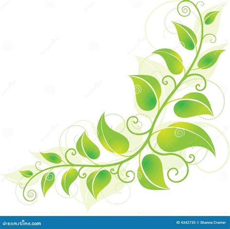 Green Corner Vine Stock Vector Image Of Accent Clean 4342735