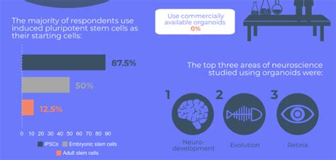 Organoids Infographic Neuro Central