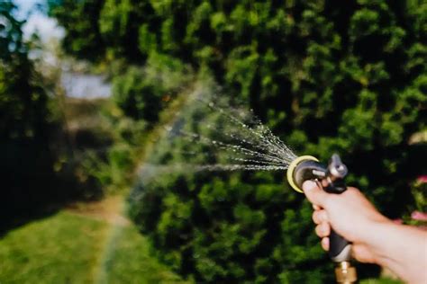 Les Secrets Dun Arrosage Efficace Et économe En Eau Avec Un Arroseur