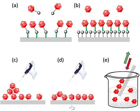 Magnetic Molecules On Surfaces Advances And Challenges In Molecular