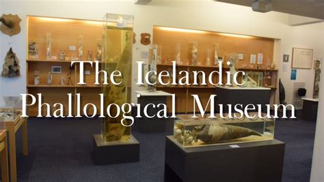 Icelands Penis Museum The Icelandic Phallological Museum Mags On