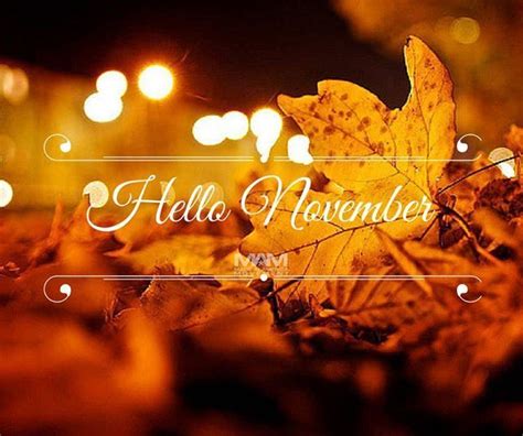 Hello November November Hello November November Quotes Hello November